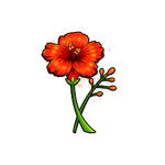Red Flower icon